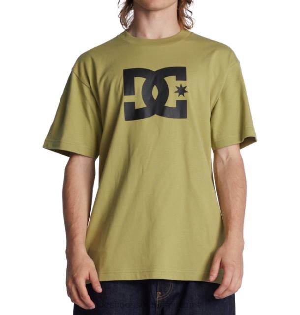 Sage PR2L73 DC Shoes Men's DC Star T-Shirt