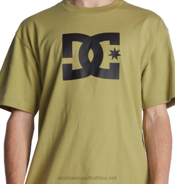 Sage PR2L73 DC Shoes Men's DC Star T-Shirt