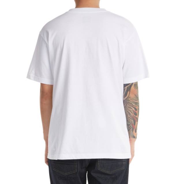 White PR2L400 DC Shoes Men's DC Star T-Shirt