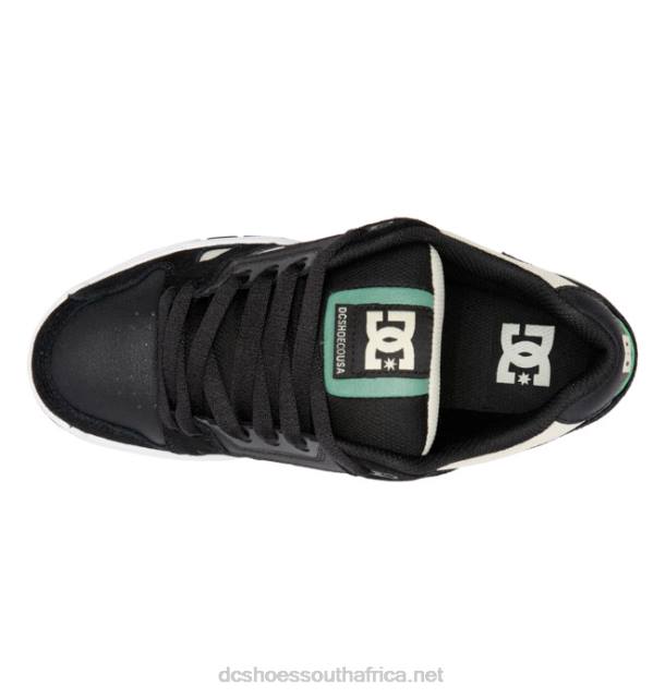 Tan/Green PR2L56 DC Shoes Men's Stag Shoes