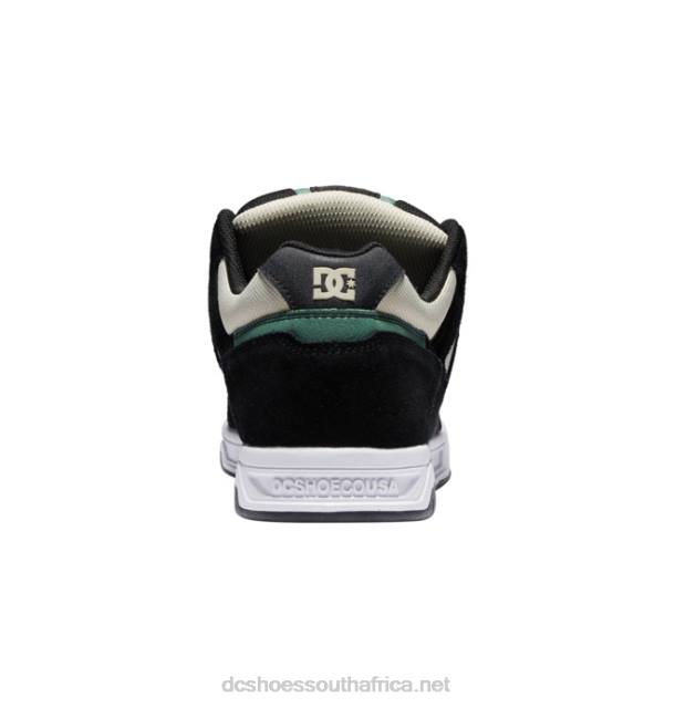Tan/Green PR2L56 DC Shoes Men's Stag Shoes