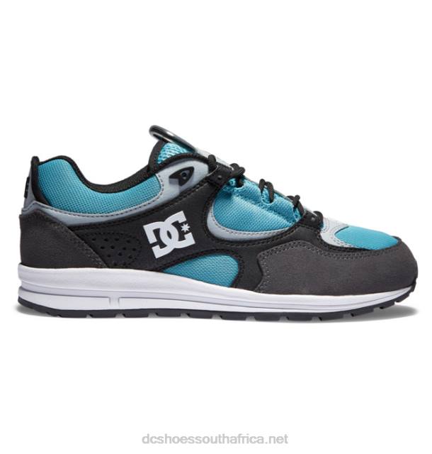 Black/Grey/Blue PR2L175 DC Shoes Men's Kalis Lite Skate Shoes