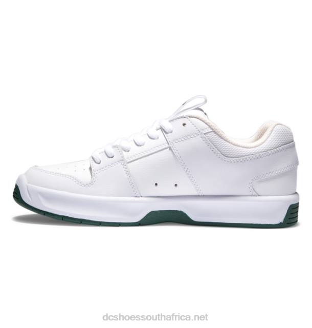 White/Green PR2L236 DC Shoes Men's Lynx Zero Skate Shoes