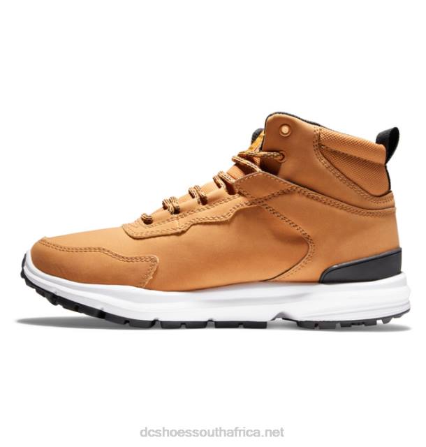 Wheat/Black PR2L334 DC Shoes Men's Mutiny Water-Resistant Winter Boots