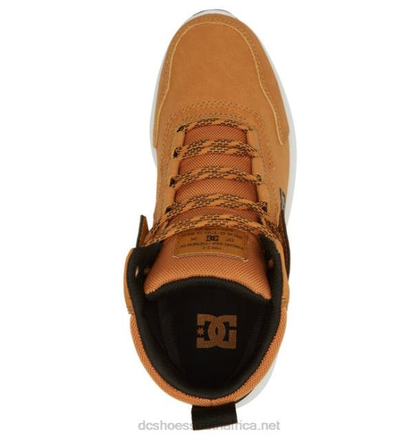 Wheat/Black PR2L334 DC Shoes Men's Mutiny Water-Resistant Winter Boots