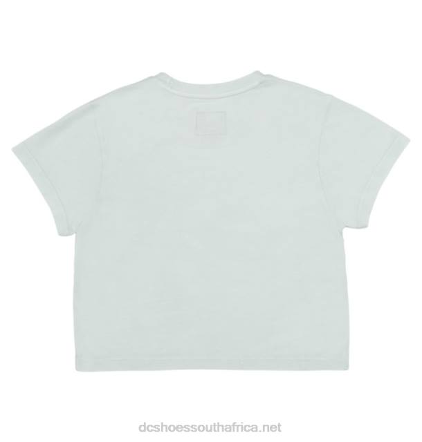 Iced Aqua Acid Wash PR2L486 DC Shoes Women's DC Star Fill Cropped Baby T-Shirt